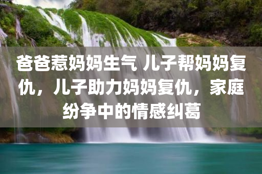 爸爸惹妈妈生气 儿子帮妈妈复仇，儿子助力妈妈复仇，家庭纷争中的情感纠葛