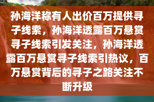 孙海洋称有人出价百万提供寻子线索，孙海洋透露百万悬赏寻子线索引发关注，孙海洋透露百万悬赏寻子线索引热议，百万悬赏背后的寻子之路关注不断升级