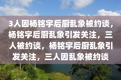 3人因杨铭宇后厨乱象被约谈，杨铭宇后厨乱象引发关注，三人被约谈，杨铭宇后厨乱象引发关注，三人因乱象被约谈