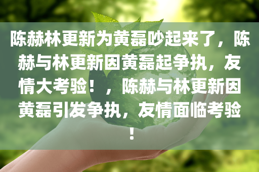 陈赫林更新为黄磊吵起来了，陈赫与林更新因黄磊起争执，友情大考验！，陈赫与林更新因黄磊引发争执，友情面临考验！