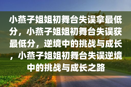 小燕子姐姐初舞台失误拿最低分，小燕子姐姐初舞台失误获最低分，逆境中的挑战与成长，小燕子姐姐初舞台失误逆境中的挑战与成长之路