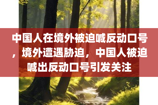 中国人在境外被迫喊反动口号，境外遭遇胁迫，中国人被迫喊出反动口号引发关注