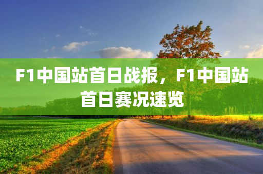 F1中国站首日战报，F1中国站首日赛况速览