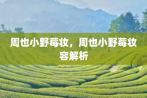 周也小野莓妆，周也小野莓妆容解析，周也小野莓妆容解析，揭秘妆容细节与技巧