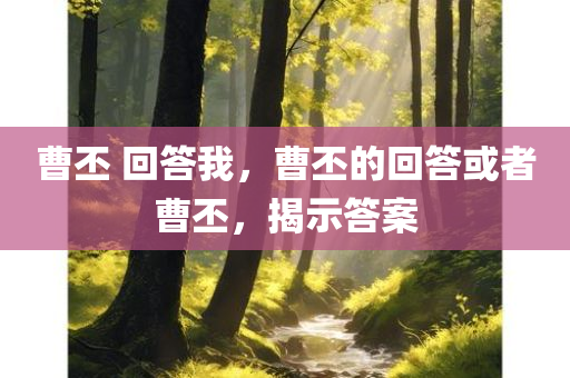 曹丕 回答我，曹丕的回答或者曹丕，揭示答案