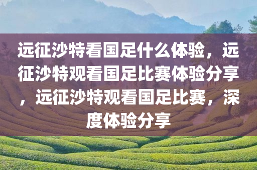 远征沙特看国足什么体验，远征沙特观看国足比赛体验分享，远征沙特观看国足比赛，深度体验分享