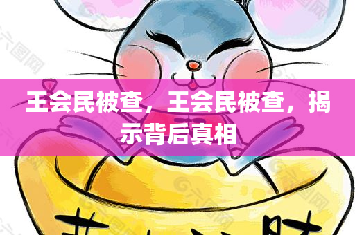王会民被查，王会民被查，揭示背后真相，王会民被查背后真相揭秘