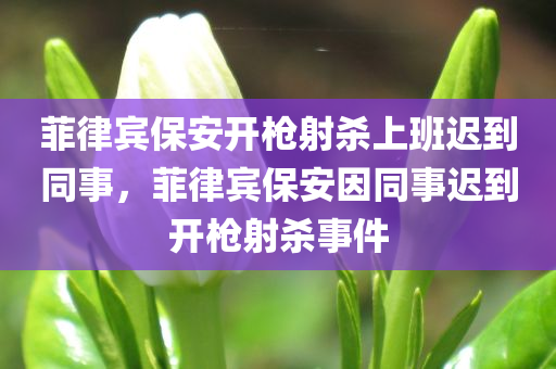 菲律宾保安开枪射杀上班迟到同事，菲律宾保安因同事迟到开枪射杀事件