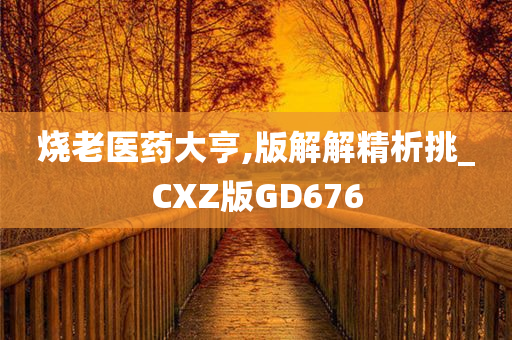 烧老医药大亨,版解解精析挑_CXZ版GD676
