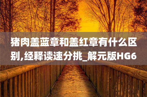 猪肉盖蓝章和盖红章有什么区别,经释读速分挑_解元版HG6