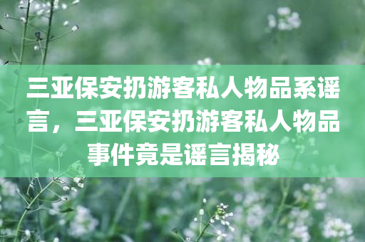 三亚保安扔游客私人物品系谣言，三亚保安扔游客私人物品事件竟是谣言揭秘，三亚保安扔游客私人物品事件竟是谣言，揭秘真相