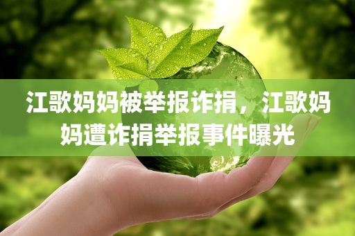 江歌妈妈被举报诈捐，江歌妈妈遭诈捐举报事件曝光，江歌妈妈遭诈捐举报事件曝光，公众善心背后的纷争与误解