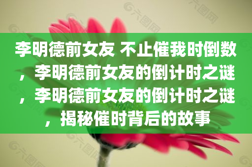 李明德前女友 不止催我时倒数，李明德前女友的倒计时之谜，李明德前女友的倒计时之谜，揭秘催时背后的故事