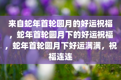 来自蛇年首轮圆月的好运祝福，蛇年首轮圆月下的好运祝福，蛇年首轮圆月下好运满满，祝福连连
