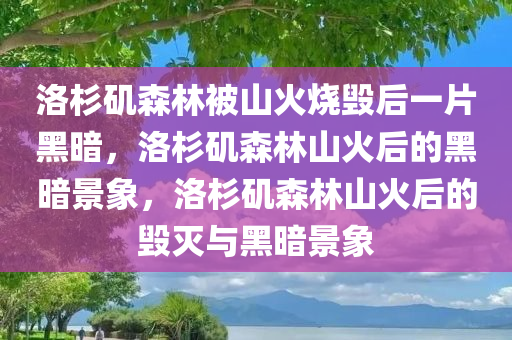 洛杉矶森林被山火烧毁后一片黑暗，洛杉矶森林山火后的黑暗景象，洛杉矶森林山火后的毁灭与黑暗景象