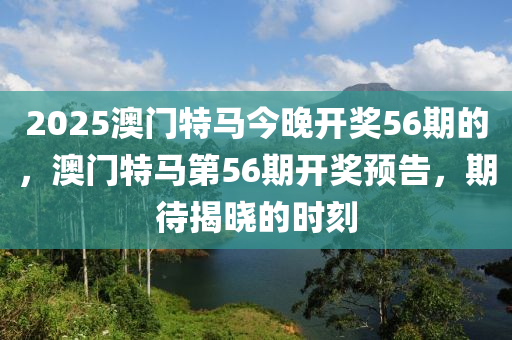 2025澳门特马今晚开奖56期的，澳门特马第56期开奖预告，期待揭晓的时刻