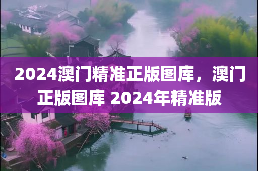 2024澳门精准正版图库，澳门正版图库 2024年精准版，澳门正版图库 2024年精准版资料公开