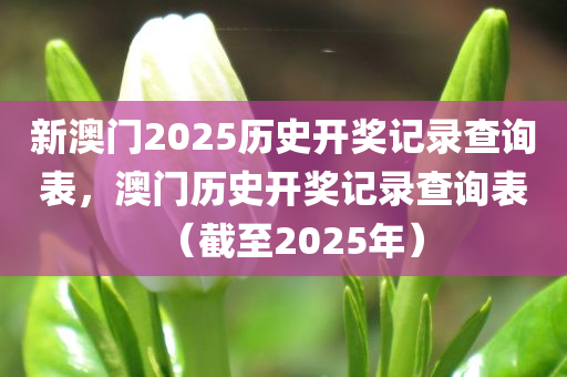 新澳门2025历史开奖记录查询表，澳门历史开奖记录查询表（截至2025年）