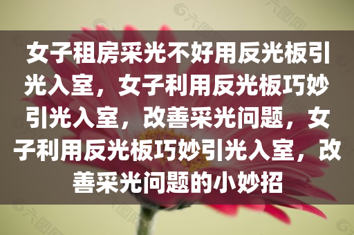 女子租房采光不好用反光板引光入室，女子利用反光板巧妙引光入室，改善采光问题，女子利用反光板巧妙引光入室，改善采光问题的小妙招