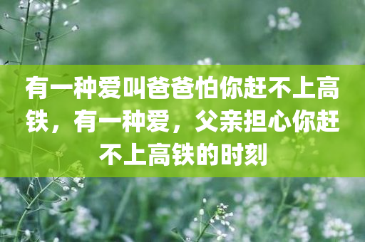 有一种爱叫爸爸怕你赶不上高铁，有一种爱，父亲担心你赶不上高铁的时刻，爱的接力，父亲担心你错过高铁的瞬间