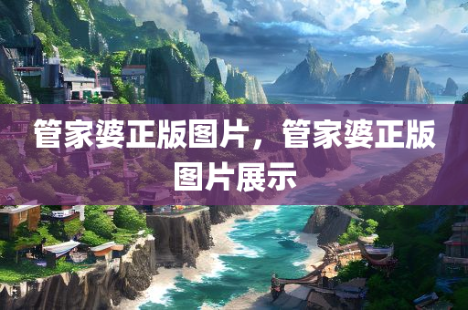 管家婆正版图片，管家婆正版图片展示，管家婆正版图片展示及介绍