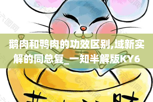 鹅肉和鸭肉的功效区别,域新实解的同总复_一知半解版KY6