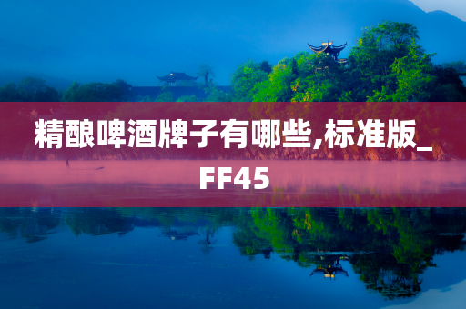 精酿啤酒牌子有哪些,标准版_FF45