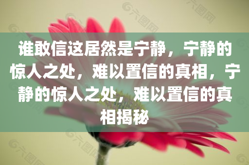 谁敢信这居然是宁静，宁静的惊人之处，难以置信的真相，宁静的惊人之处，难以置信的真相揭秘