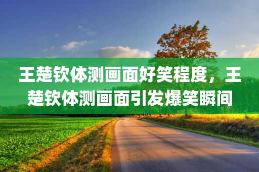 王楚钦体测画面好笑程度，王楚钦体测画面引发爆笑瞬间，王楚钦体测画面引发爆笑瞬间，网友直呼太有趣！