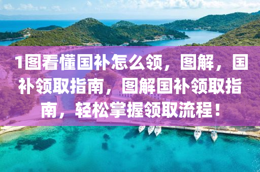 1图看懂国补怎么领，图解，国补领取指南，图解国补领取指南，轻松掌握领取流程！