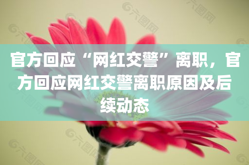官方回应“网红交警”离职，官方回应网红交警离职原因及后续动态