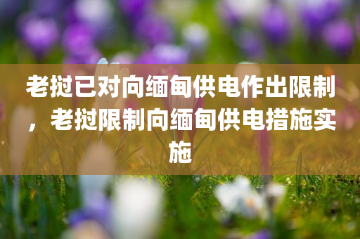 老挝已对向缅甸供电作出限制，老挝限制向缅甸供电措施实施，老挝对缅甸实施供电限制措施