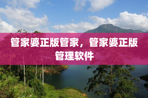管家婆正版管家，管家婆正版管理软件