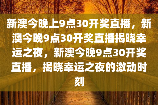新澳今晚上9点30开奖直播，新澳今晚9点30开奖直播揭晓幸运之夜，新澳今晚9点30开奖直播，揭晓幸运之夜的激动时刻