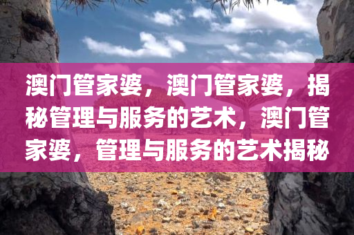 澳门管家婆，澳门管家婆，揭秘管理与服务的艺术，澳门管家婆，管理与服务的艺术揭秘