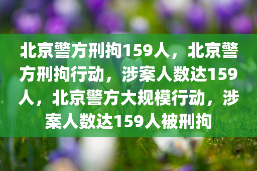 北京警方刑拘159人，北京警方刑拘行动，涉案人数达159人，北京警方大规模行动，涉案人数达159人被刑拘