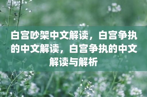 白宫吵架中文解读，白宫争执的中文解读，白宫争执的中文解读与解析