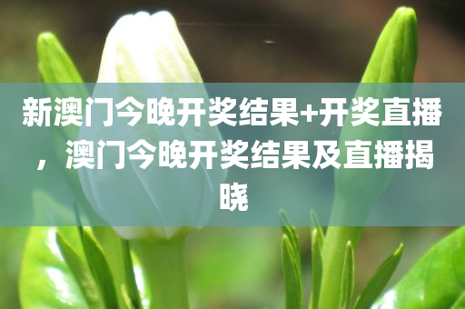 新澳门今晚开奖结果+开奖直播，澳门今晚开奖结果及直播揭晓