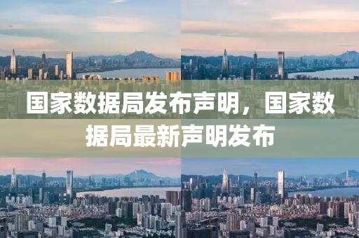 国家数据局发布声明，国家数据局最新声明发布