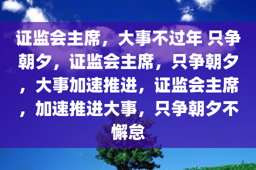证监会主席，大事不过年 只争朝夕，证监会主席，只争朝夕，大事加速推进，证监会主席，加速推进大事，只争朝夕不懈怠
