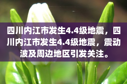 四川内江市发生4.4级地震，四川内江市发生4.4级地震，震动波及周边地区引发关注。