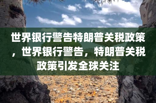 世界银行警告特朗普关税政策，世界银行警告，特朗普关税政策引发全球关注
