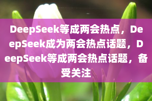 DeepSeek等成两会热点，DeepSeek成为两会热点话题，DeepSeek等成两会热点话题，备受关注