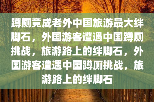 蹲厕竟成老外中国旅游最大绊脚石，外国游客遭遇中国蹲厕挑战，旅游路上的绊脚石，外国游客遭遇中国蹲厕挑战，旅游路上的绊脚石