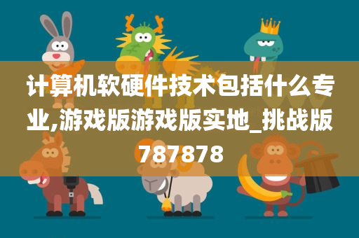 计算机软硬件技术包括什么专业,游戏版游戏版实地_挑战版787878