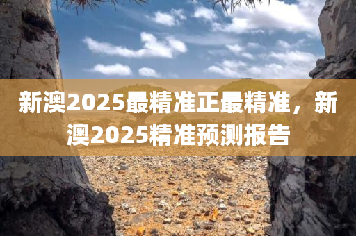 新澳2025最精准正最精准，新澳2025精准预测报告