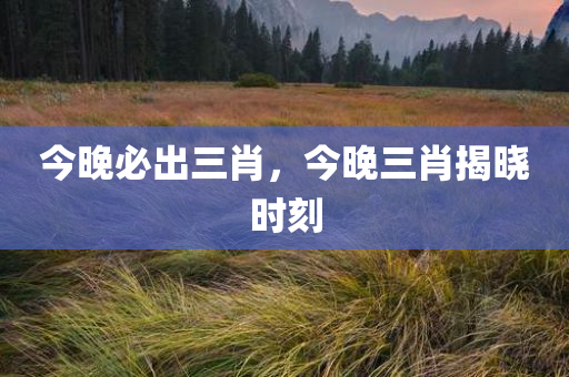 今晚必出三肖，今晚三肖揭晓时刻