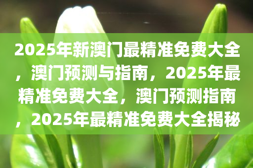 2025年新澳门最精准免费大全，澳门预测与指南，2025年最精准免费大全，澳门预测指南，2025年最精准免费大全揭秘