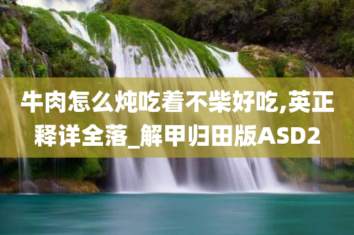 牛肉怎么炖吃着不柴好吃,英正释详全落_解甲归田版ASD2