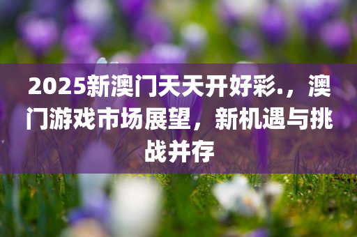 2025新澳门天天开好彩.，澳门游戏市场展望，新机遇与挑战并存